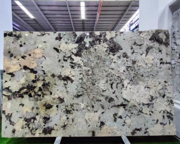Splendor White Granite Table Top - 이미지 4