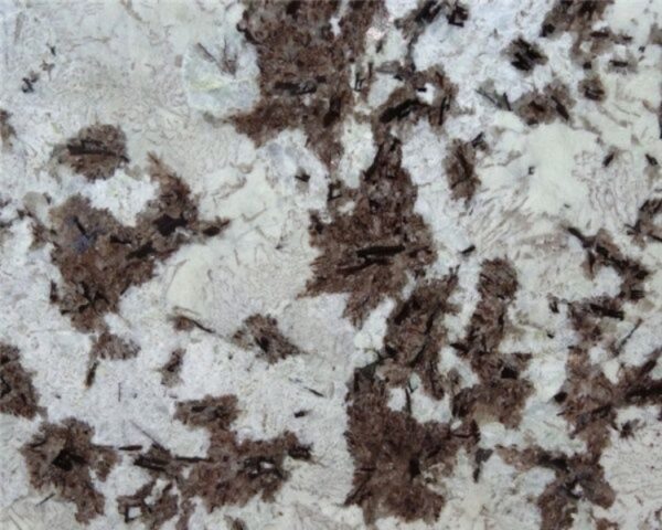 Splendor White Granite Table Top - 이미지 3