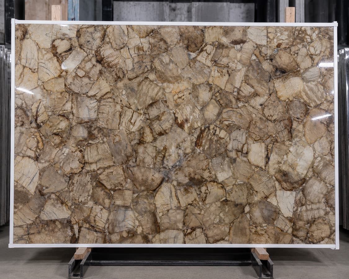 luxury White Wood Fossils stone slab and furniture application with preserved petrified wood grain