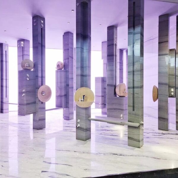 ⁦Silver Shadow Quartzite⁩ - الصورة ⁦6⁩